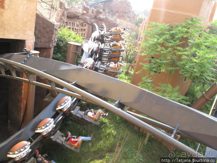 Черная мамба и остальная доза андреналина