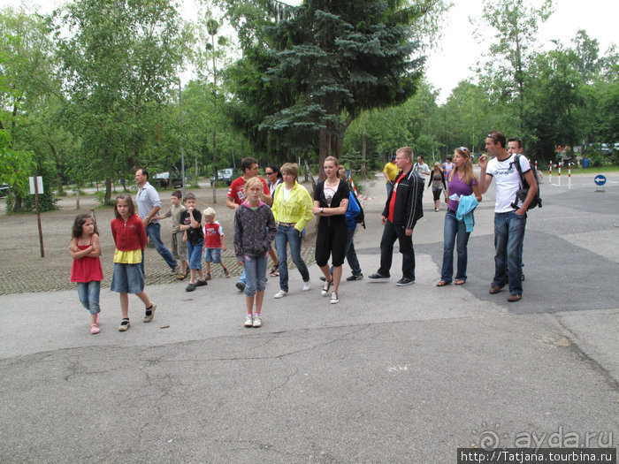 Черная мамба и остальная доза андреналина