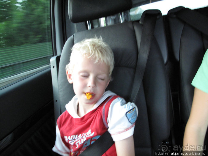 Черная мамба и остальная доза андреналина