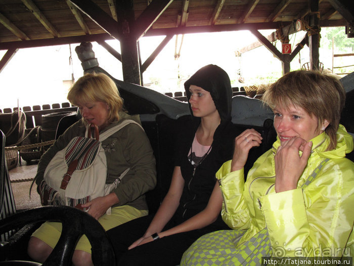 Черная мамба и остальная доза андреналина