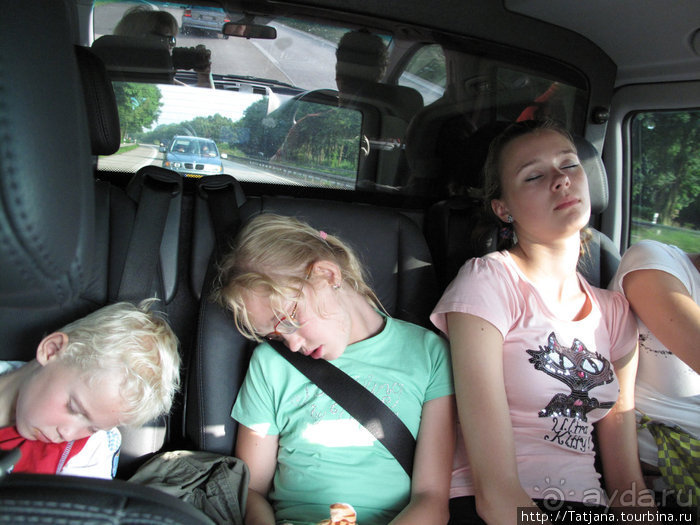 Черная мамба и остальная доза андреналина