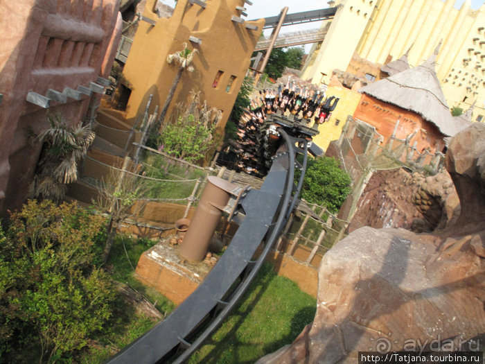 Черная мамба и остальная доза андреналина