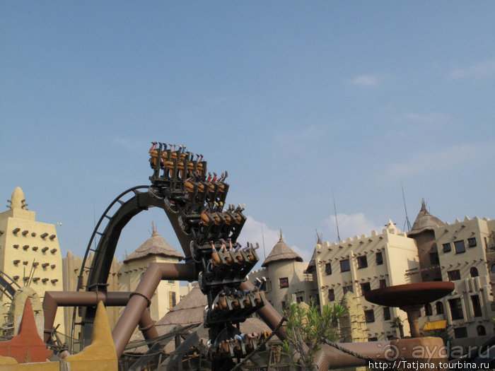 Черная мамба и остальная доза андреналина