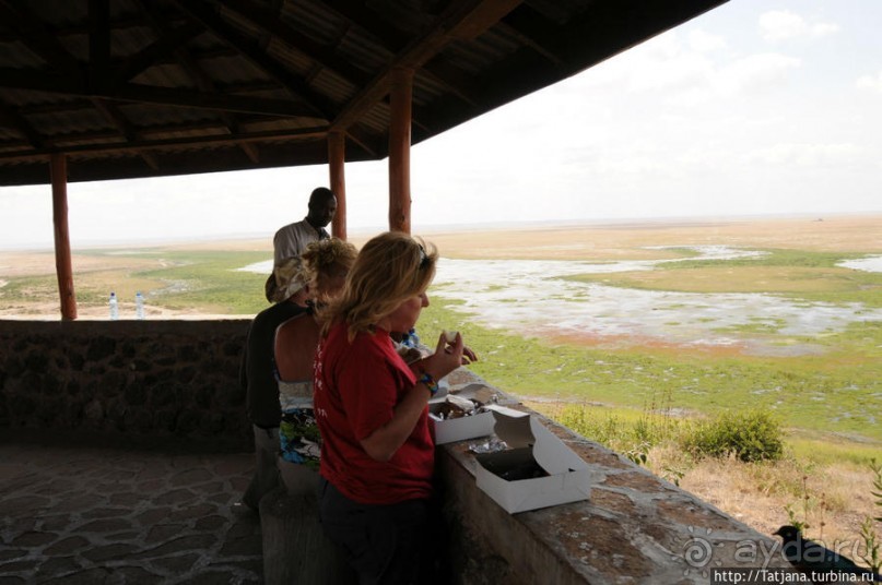 Борьба слонов за самку в парке Амбосели