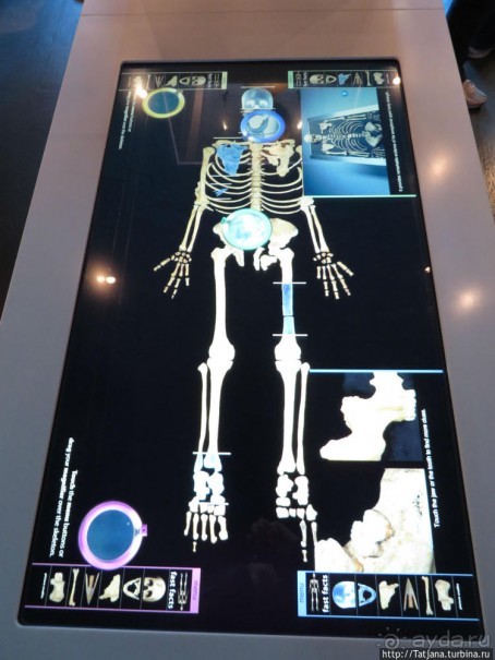 фото Шотландии