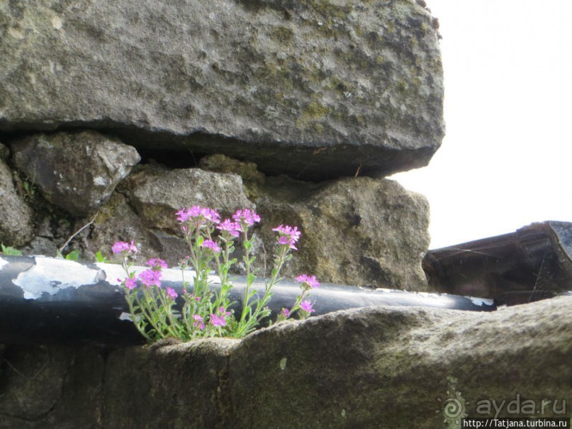 Средневековая сказка для детей в замке Стерлинг