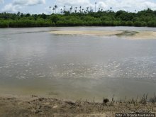 Прогулка к реке Конго и хорошее настроение