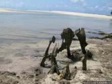 Прогулка к реке Конго и хорошее настроение