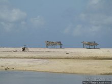 Прогулка к реке Конго и хорошее настроение