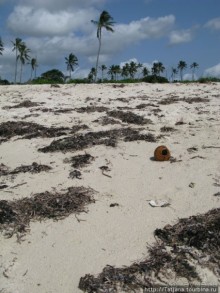Прогулка к реке Конго и хорошее настроение