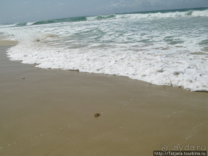 Прогулка к реке Конго и хорошее настроение