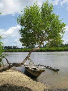 Прогулка к реке Конго и хорошее настроение