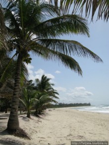 Прогулка к реке Конго и хорошее настроение