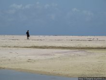 Прогулка к реке Конго и хорошее настроение