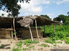 Прогулка к реке Конго и хорошее настроение