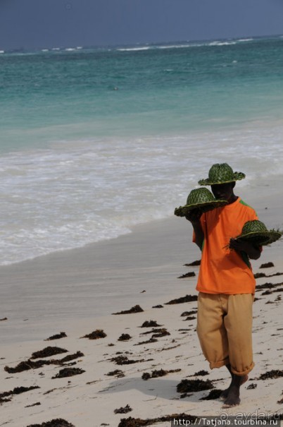 Прогулка к реке Конго и хорошее настроение