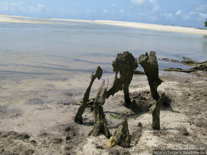 Прогулка к реке Конго и хорошее настроение