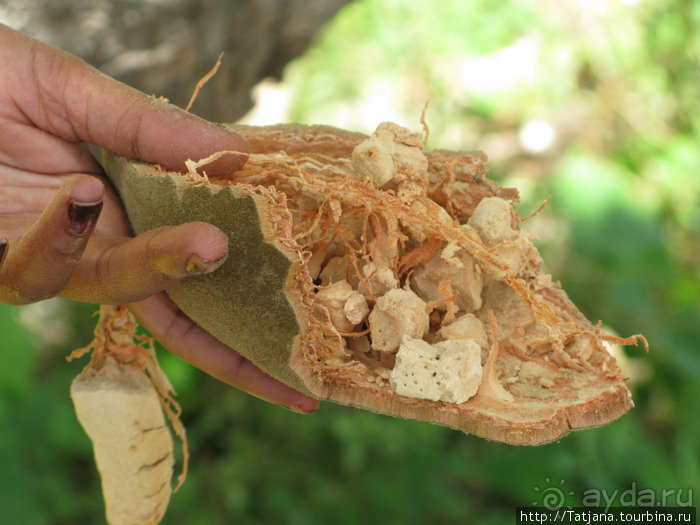 Прогулка к реке Конго и хорошее настроение