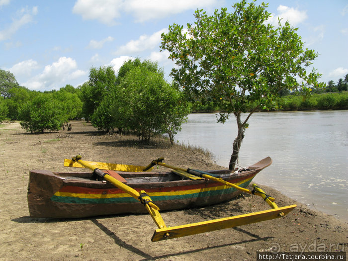 Прогулка к реке Конго и хорошее настроение