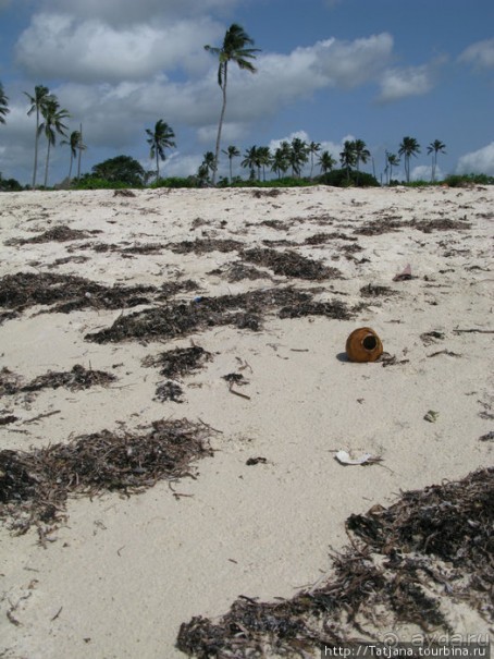 Прогулка к реке Конго и хорошее настроение