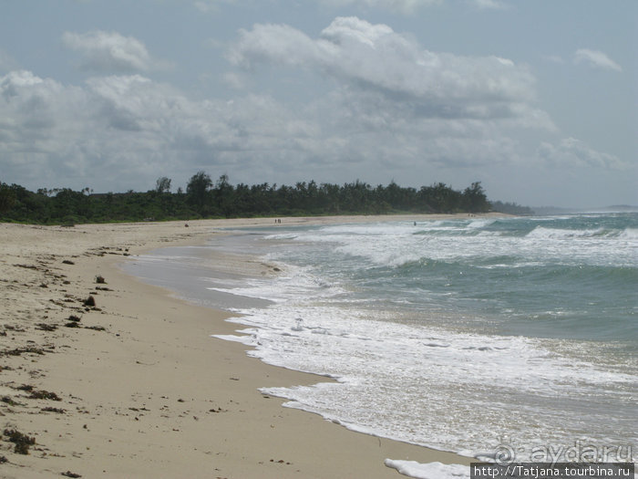 Прогулка к реке Конго и хорошее настроение