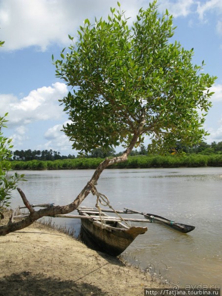 Прогулка к реке Конго и хорошее настроение