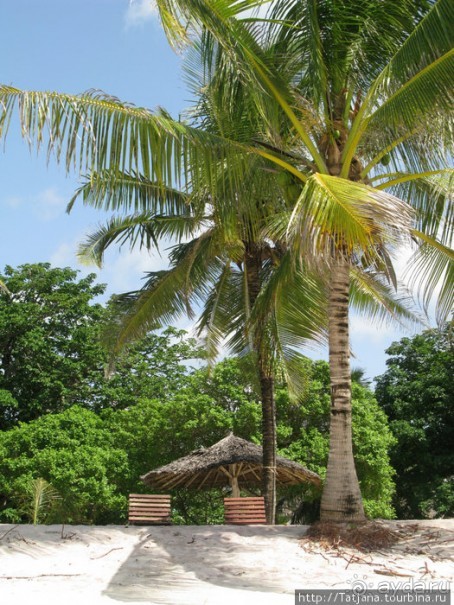 Прогулка к реке Конго и хорошее настроение