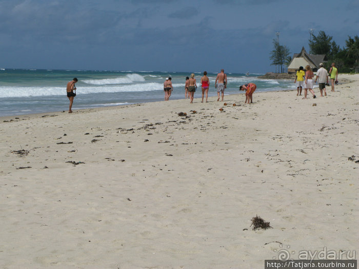 Прогулка к реке Конго и хорошее настроение