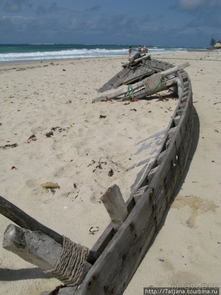 Прогулка к реке Конго и хорошее настроение