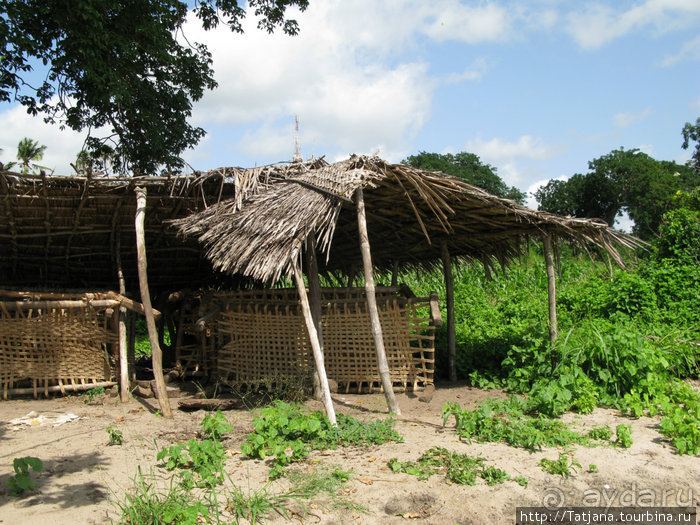 Прогулка к реке Конго и хорошее настроение