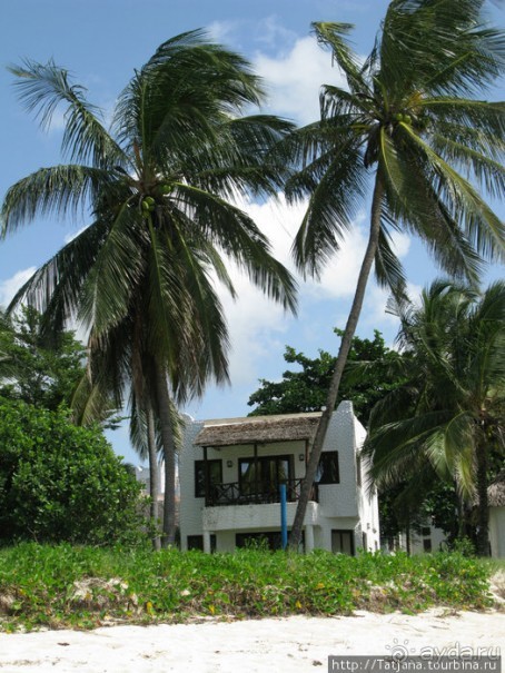 Прогулка к реке Конго и хорошее настроение