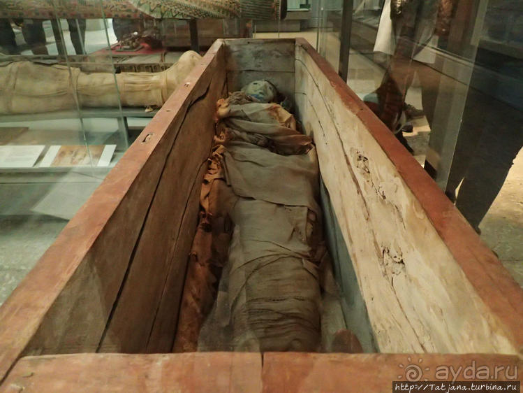 Ценные экспонаты Британского музея и Розеттский камень