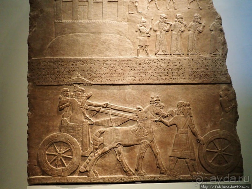 Ценные экспонаты Британского музея и Розеттский камень