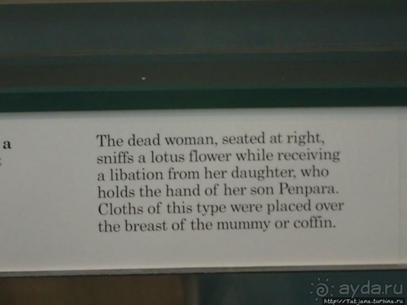 Ценные экспонаты Британского музея и Розеттский камень