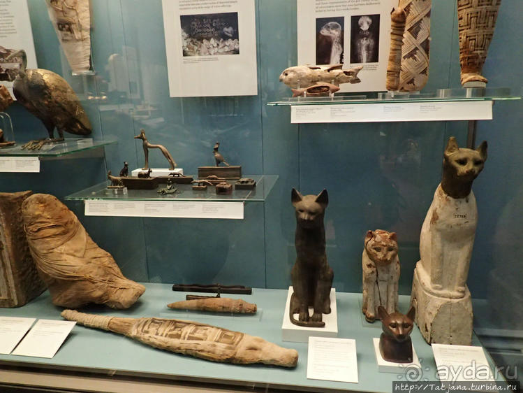 Ценные экспонаты Британского музея и Розеттский камень