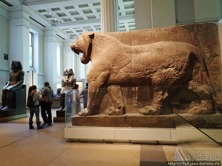 Ценные экспонаты Британского музея и Розеттский камень