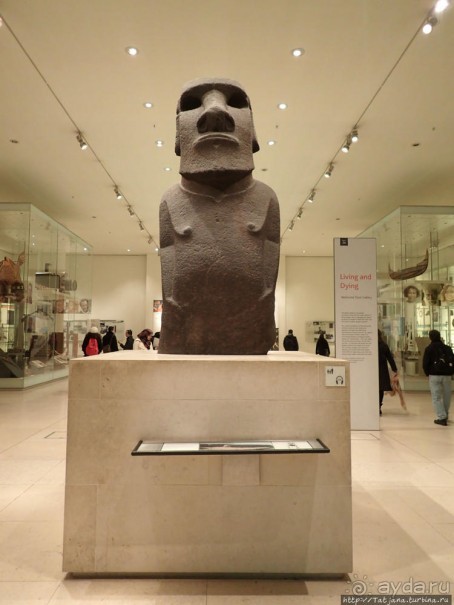 Ценные экспонаты Британского музея и Розеттский камень