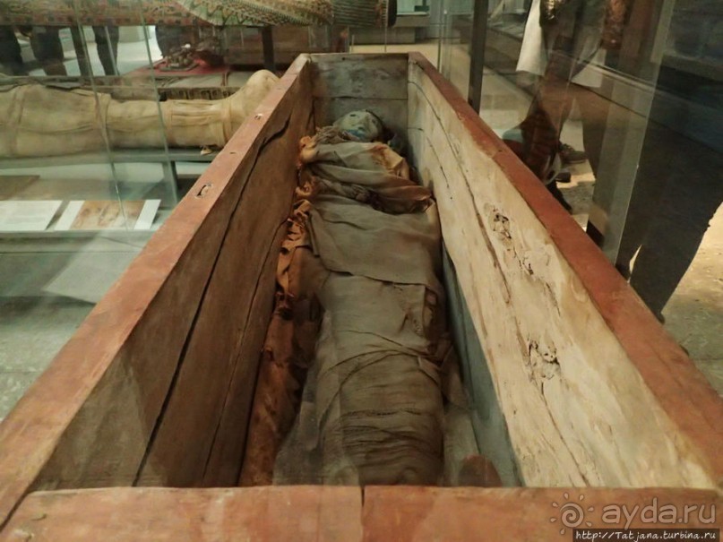 Ценные экспонаты Британского музея и Розеттский камень