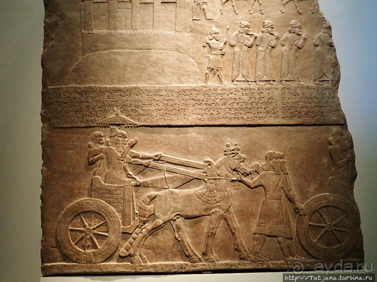 Ценные экспонаты Британского музея и Розеттский камень