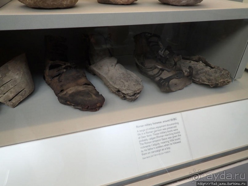 Ценные экспонаты Британского музея и Розеттский камень