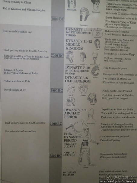 Ценные экспонаты Британского музея и Розеттский камень