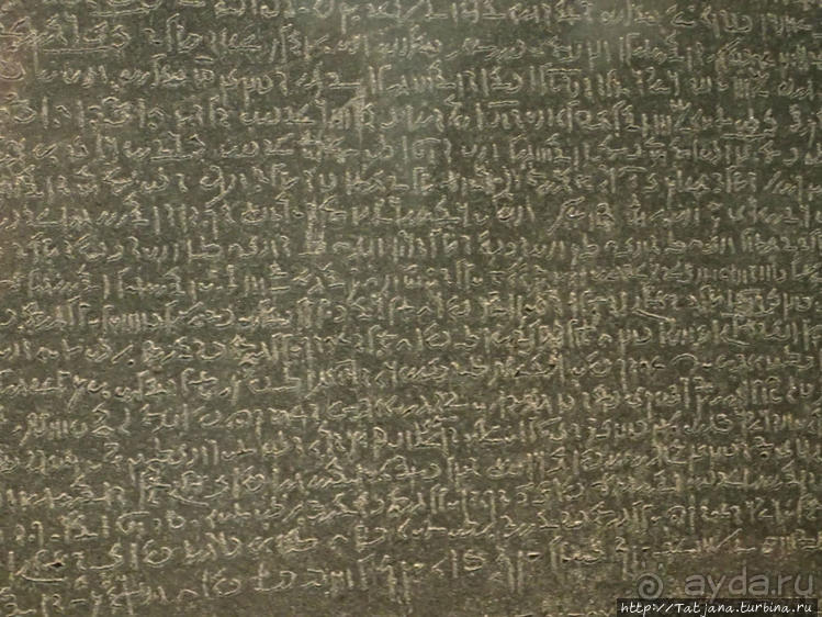 Ценные экспонаты Британского музея и Розеттский камень