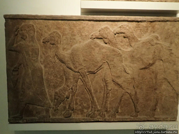 Ценные экспонаты Британского музея и Розеттский камень