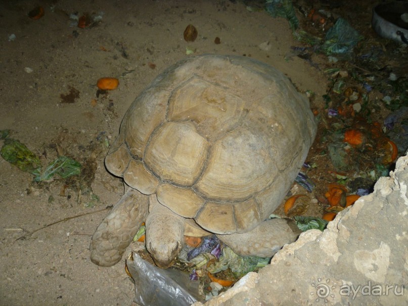 Не плохо,но не идеально!