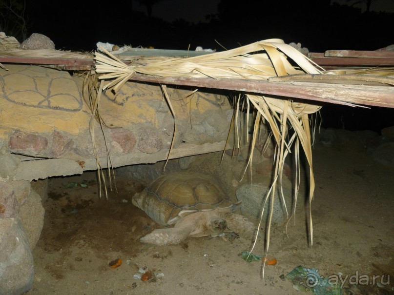 Не плохо,но не идеально!