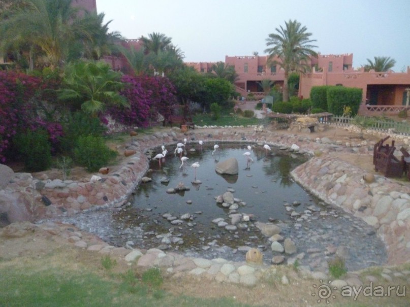 Не плохо,но не идеально!