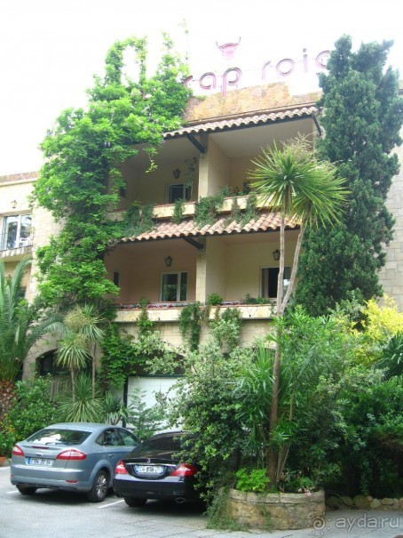 Отдых с собакой