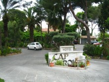 Отдых с собакой