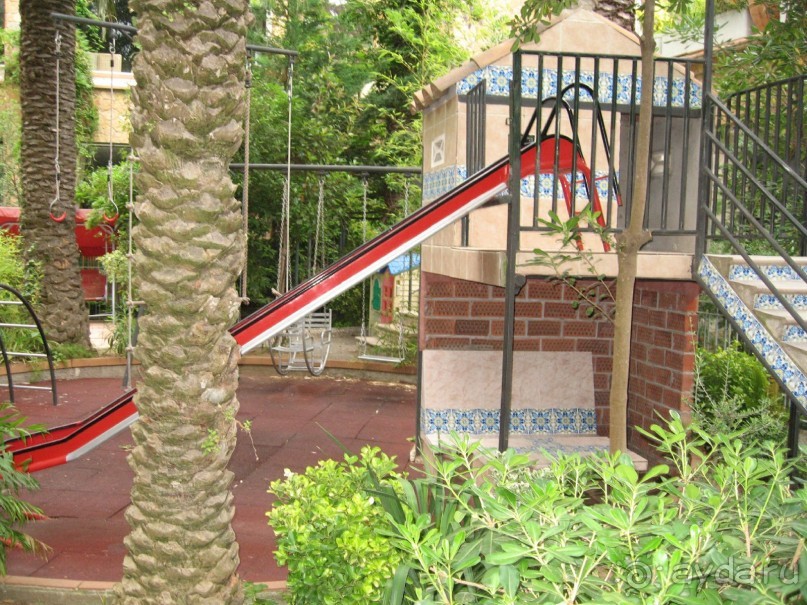 Отдых с собакой