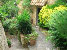 Отдых с собакой